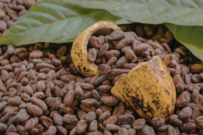 Cocoa